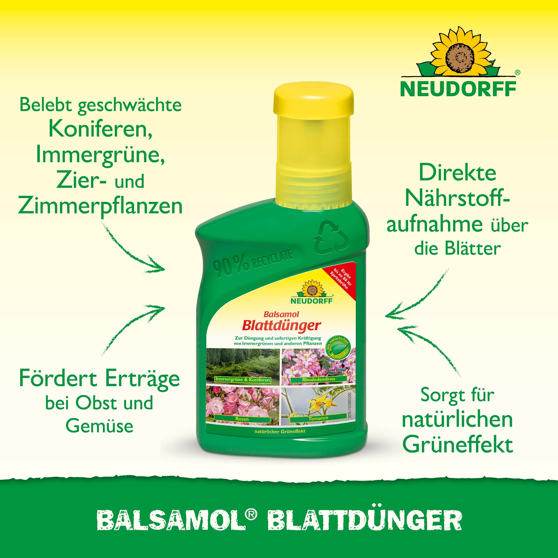Eine grüne Flasche Neudorff Shop Balsamol Blattdünger steht auf einem gelben und grünen Hintergrund, mit Text, der seine Vorteile für Immergrüne, Nadelgehölze und schnelle Nährstoffaufnahme hervorhebt.