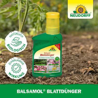 Uma garrafa verde de Neudorff Shop Balsamol Fertilizante Foliar está entre plantas ao ar livre. No rótulo, os benefícios do produto são plantas perenes saudáveis e coníferas, além dos logotipos "biológico" e "efeito confiável".