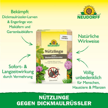 O foco está em uma embalagem "Nützlinge contra Dickmaulrüssler" da Neudorff Shop, que oferece controle de pragas natural com nemátodos. Setas verdes destacam as propriedades naturais, seguras e eficazes em alemão.