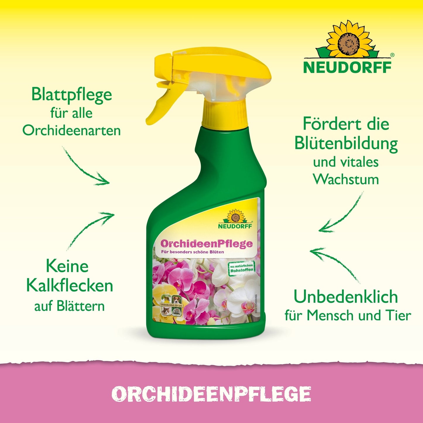 É ilustrado um frasco de spray verde-amarelo com a inscrição "OrchideenPflege" da Neudorff Shop. Setas alemãs destacam suas vantagens: cuidado ideal para orquídeas, sem manchas de calcário, apoia a floração e é seguro para todas as folhas de orquídeas.