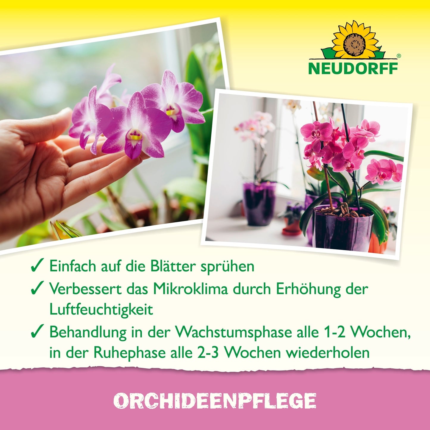 Uma mão pulveriza uma orquídea com o OrchideenPflege da Neudorff Shop. O texto alemão recomenda pulverizar regularmente com este produto como um auxílio para o cuidado das plantas, para aumentar a umidade do ar e apoiar a saúde das orquídeas. A foto mostra uma orquídea ao fundo.