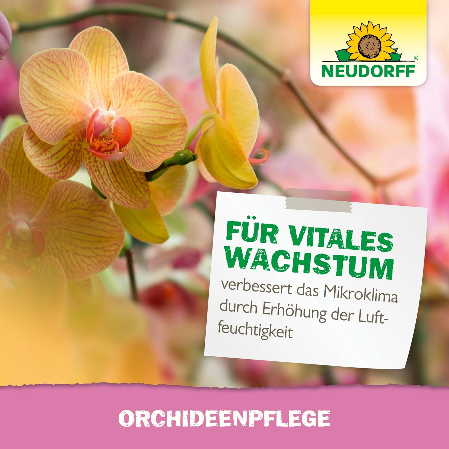 Várias orquídeas florescendo em amarelo-laranja são vistas de perto. Um cartaz em alemão promove o OrchideenPflege da Neudorff Shop e destaca o crescimento melhorado e a umidade aumentada. O logotipo da Neudorff aparece no canto superior direito.