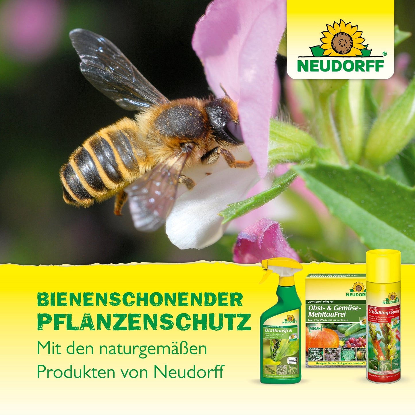 Uma abelha coleta néctar de uma flor rosa. Em primeiro plano estão três produtos OrchideenPflege da Neudorff Shop. O texto alemão destaca os auxiliares de plantas OrchideenPflege da Neudorff Shop, amigáveis para as abelhas e naturais.