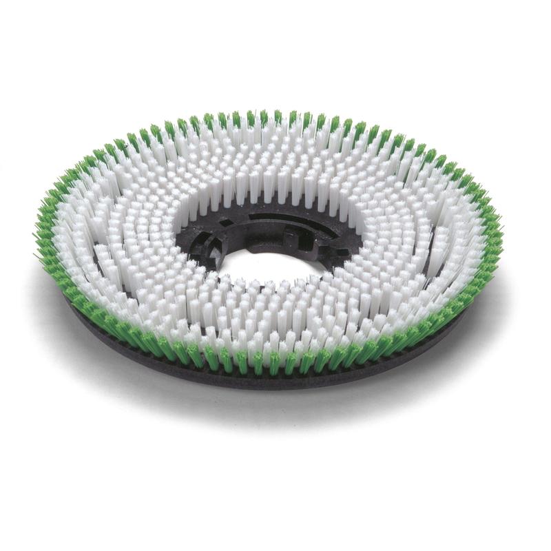 Escova de esfrega Numatic Octo PPN 0,6 mm 300 mm para TTV678/TVL850 | Pacote (1 peça)