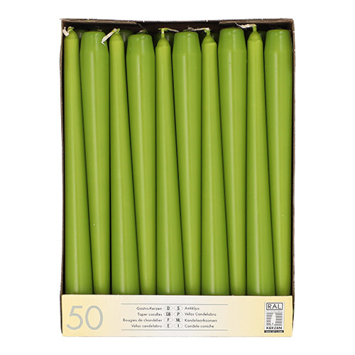 A caixa Starpak contém 50 velas verdes de 25 cm de comprimento e 2,2 cm de diâmetro, dispostas verticalmente e de cor e tamanho uniformes. A embalagem tem uma etiqueta de produto no fundo. Marca: Starpak.