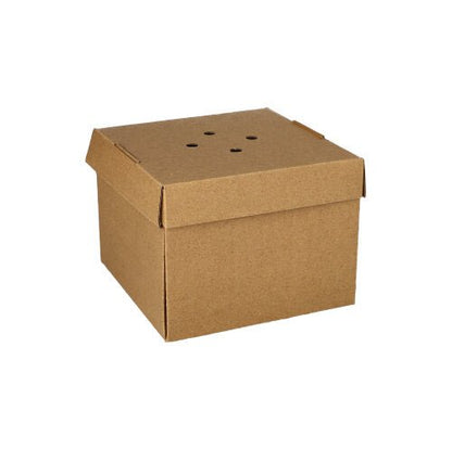 As caixas de hambúrguer "pure" (pacote de 20) da PAPSTAR GmbH são caixas simples de papelão marrom com tampa, que possui quatro buracos de ventilação – práticas e ecológicas, ilustradas sobre um fundo branco.
