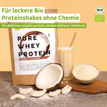 Whey protein orgânico em pó de coco