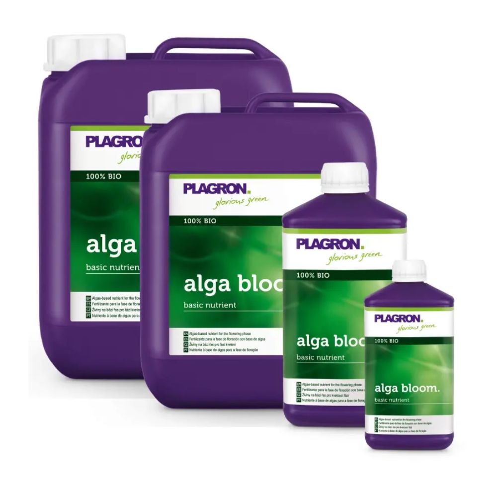 Quatro garrafas de Plagron Alga Bloom Fertilizante Natural de Plantas da Bertels B.V., ideal para a fase de floração, são apresentadas em duas garrafas grandes e duas pequenas. Cada garrafa possui um design roxo brilhante e etiquetas verdes "100% Bio", que apresentam esses nutrientes essenciais para plantas de forma elegante.