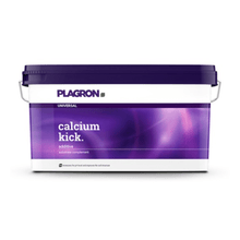 Um recipiente retangular de plástico de 10 kg da Bertels B.V., com a inscrição «Plagron Calcium Kick», possui uma tampa roxa e uma pega com um efeito de gradiente de cor; este corretivo mineral do solo melhora a estrutura do solo e atua como regulador de pH.