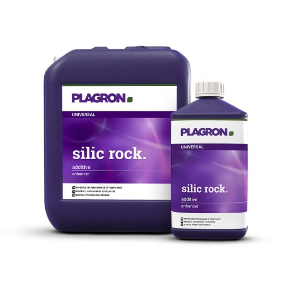 Zwei Plagron Silic Rock-Behälter von Bertels B.V. sind abgebildet: ein großer dunkelvioletter Behälter links und eine kleinere Flasche rechts, beide mit der Aufschrift „Siliciumdünger“. Ihre violetten Etiketten mit weißem Text betonen ihre Rolle bei der Verbesserung der Widerstandsfähigkeit der Pflanzen und der Nährstoffaufnahme.