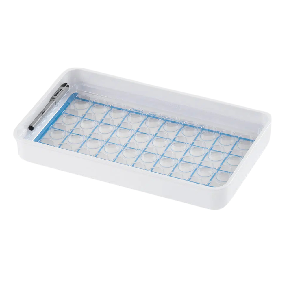 A bandeja de copos melipul 40x1-43 da Helmut Schwarz GmbH é uma bandeja retangular branca com uma grade de pequenas cavidades redondas, cobertas por uma tampa de plástico transparente. É ideal para a organização de medicamentos e possui uma caneta preta na borda, tornando-a perfeita para classificar lentes ou outros pequenos objetos em instalações médicas.