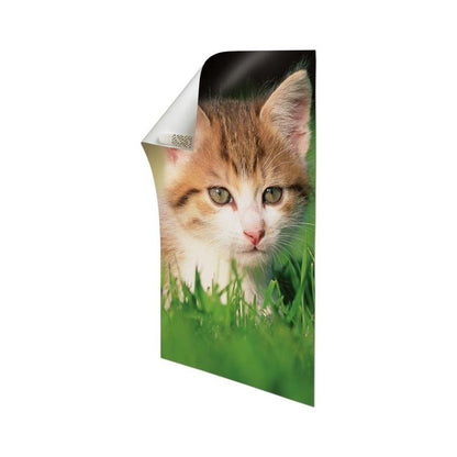 Uma foto de alto brilho de um gatinho castanho e branco em relva verde, com o canto superior esquerdo ligeiramente ondulado. Ideal para montagem com tiras para poster Command™ da 3M Deutschland GmbH no pack de vantagem, 17024-VP, sobre fundo branco.